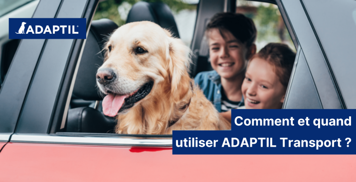 Comment utiliser ADAPTIL Transport pour mon chien ?