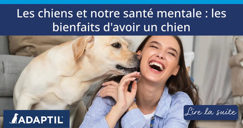 Les chiens et notre santé mentale : les avantages de la vie avec un chien