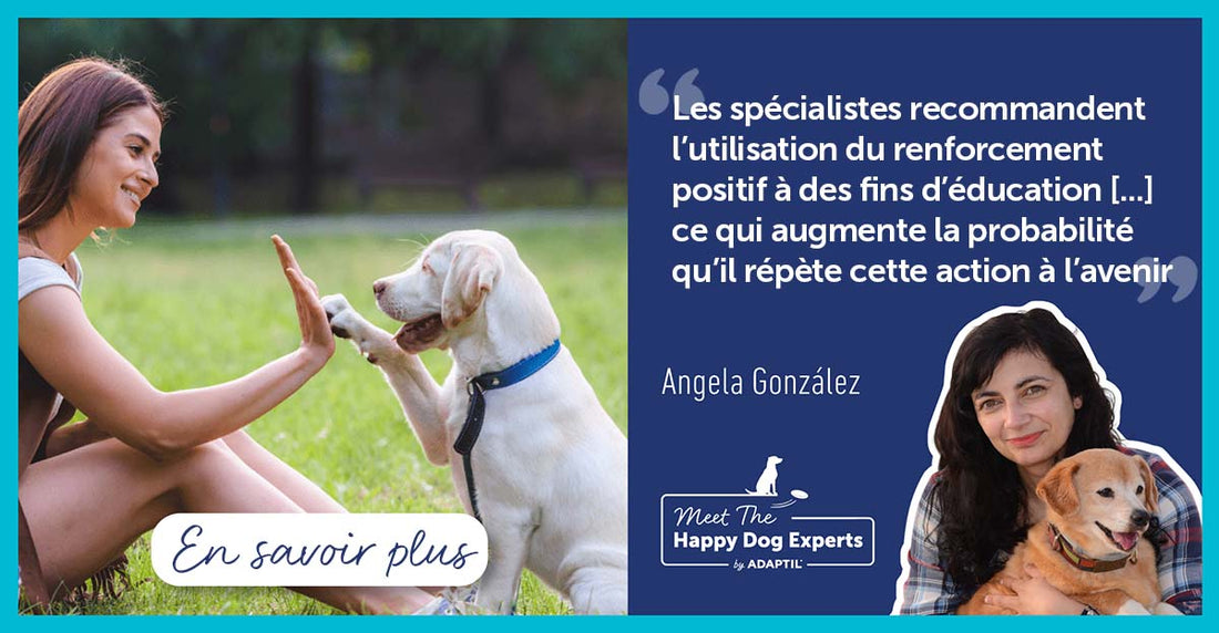 Qu’est-ce que l’éducation canine par le renforcement positif ?