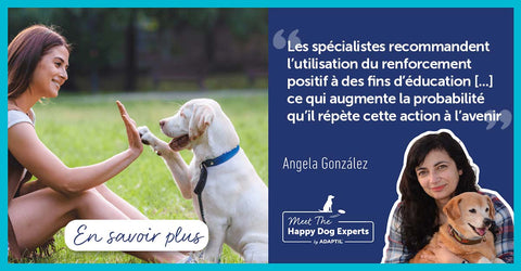 Qu’est-ce que l’éducation canine par le renforcement positif ?