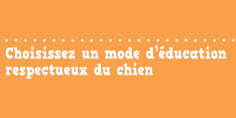 L'Education Positive Du Chien : Tout Se Joue Avant 1 An