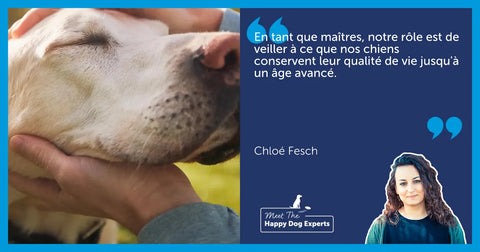 Un chien peut-il être atteint de la maladie d’Alzheimer ?