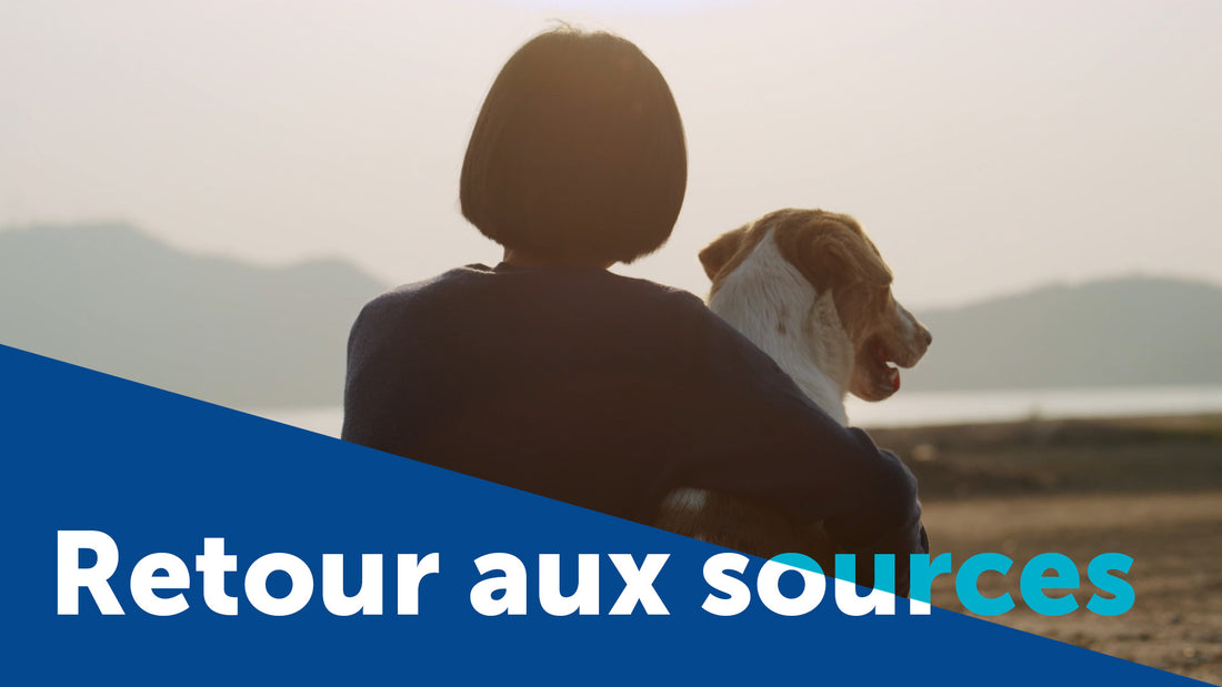 Découvrez notre hommage aux chiens - Relation Homme-Chien