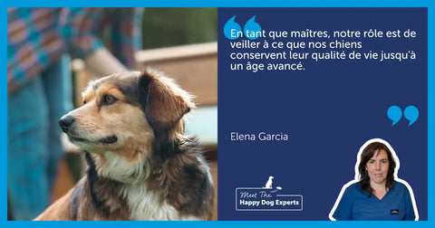 Adapter l’environnement pour des chiens qui ont des problèmes de santé : une experte nous explique !