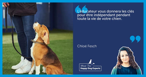 Tous les chiens ont-ils besoin d’un éducateur professionnel ?