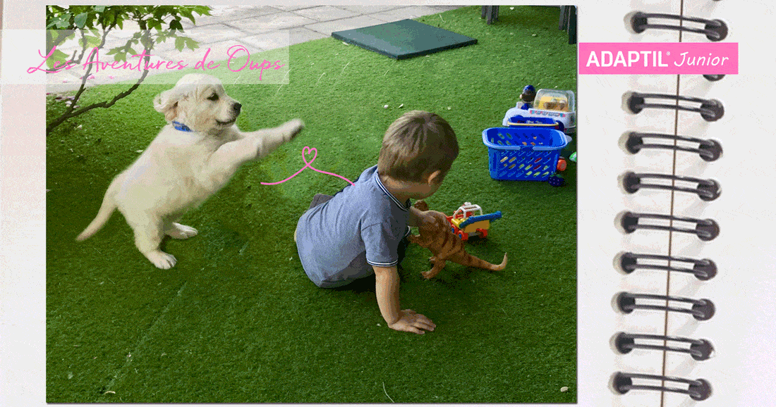 Les aventures de Oups - La socialisation