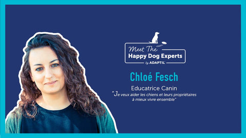 Chloé Fesch de Canidélite : Questions à se poser pour adopter un chien