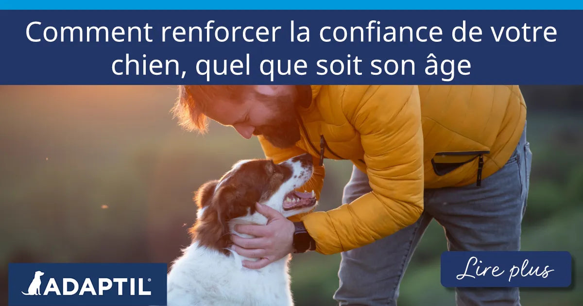 Une femme est accroupie et caresse le dos de son chien blanc lors d’une pause pendant une promenade dans un espace verdoyant et arboré.