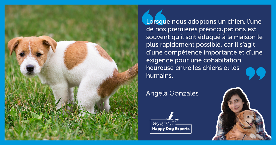 Comment apprendre à un chiot à faire ses besoins à l'extérieur ?