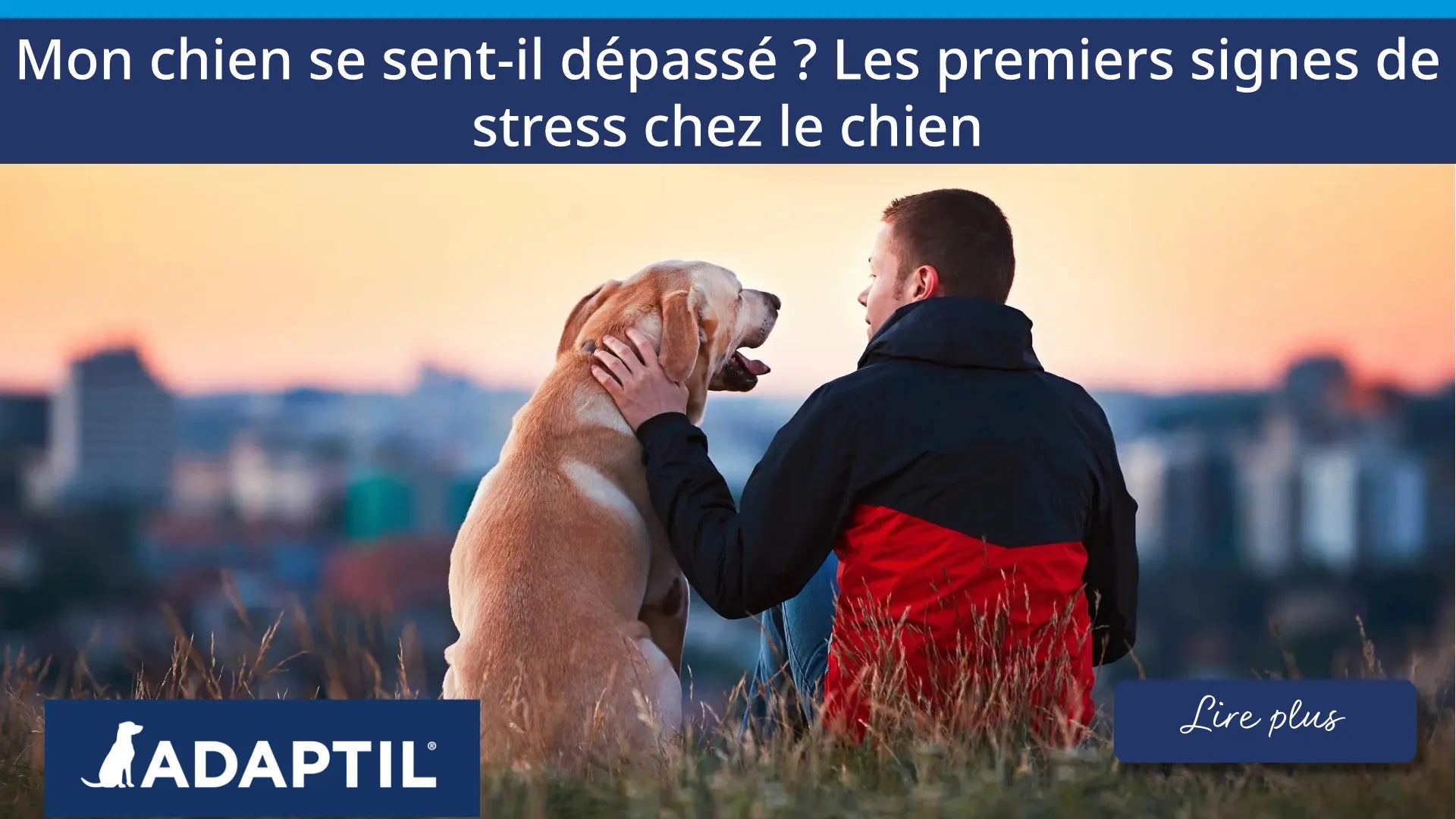  Un homme assis sur une colline au coucher du soleil caresse doucement son labrador retriever.