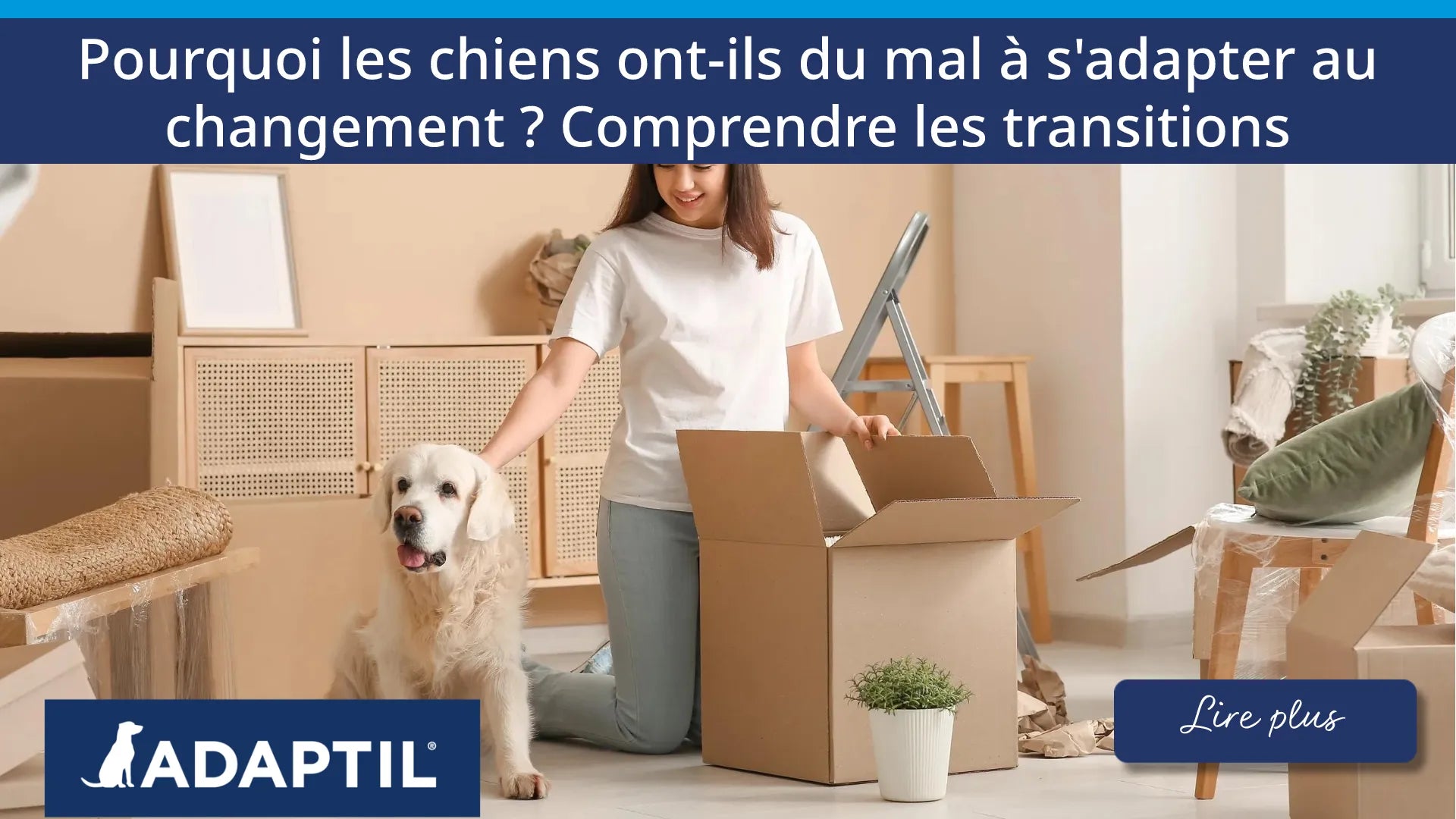 Une jeune femme entourée de cartons caresse un labrador alors qu'ils déménagent.