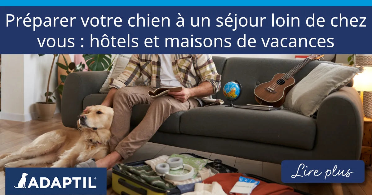 Un homme assis sur un canapé, caressant un chien à côté d’une valise ouverte remplie de vêtements.