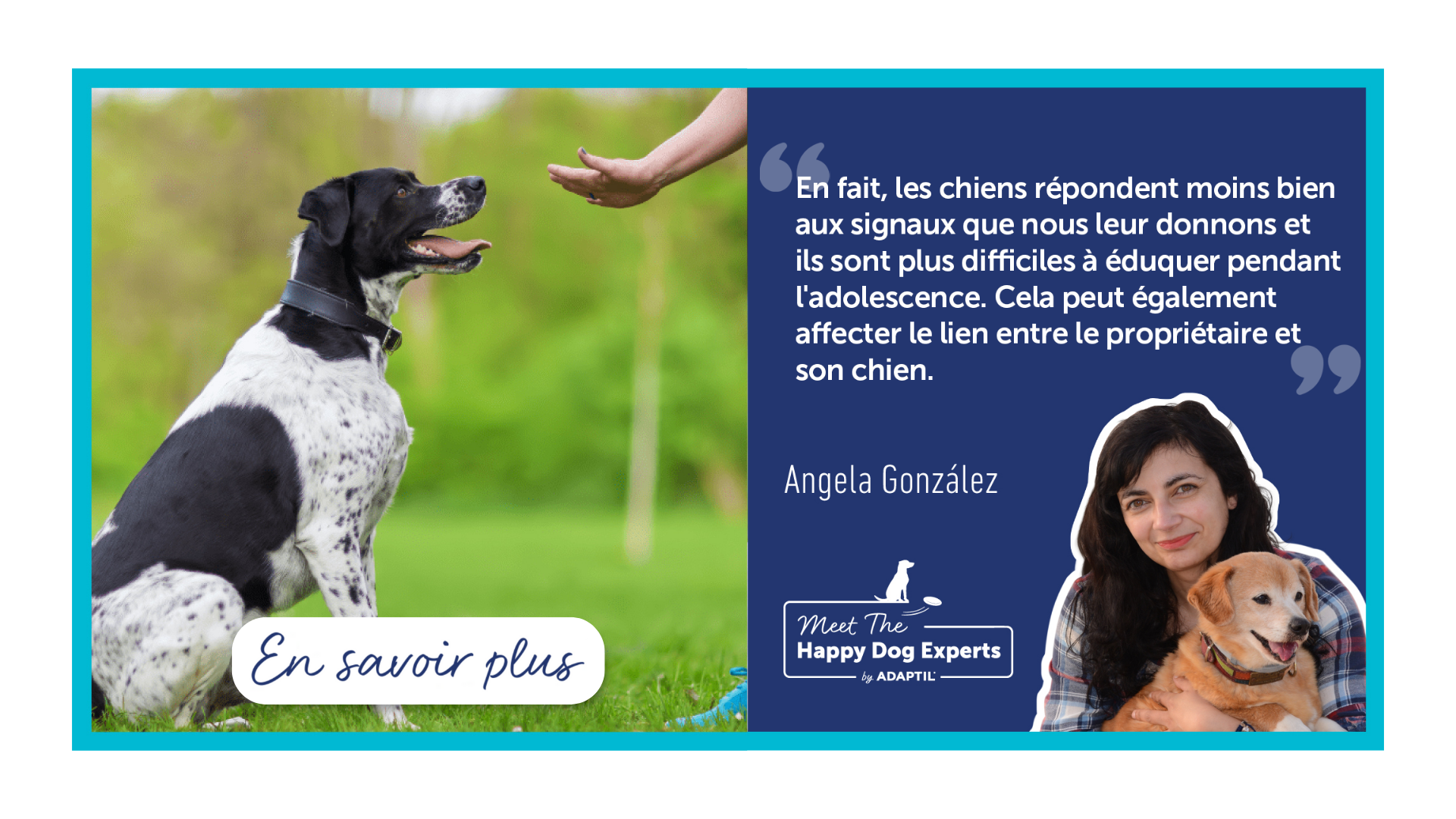 Que nous apprend la science à propos de l’adolescence chez le chien ?