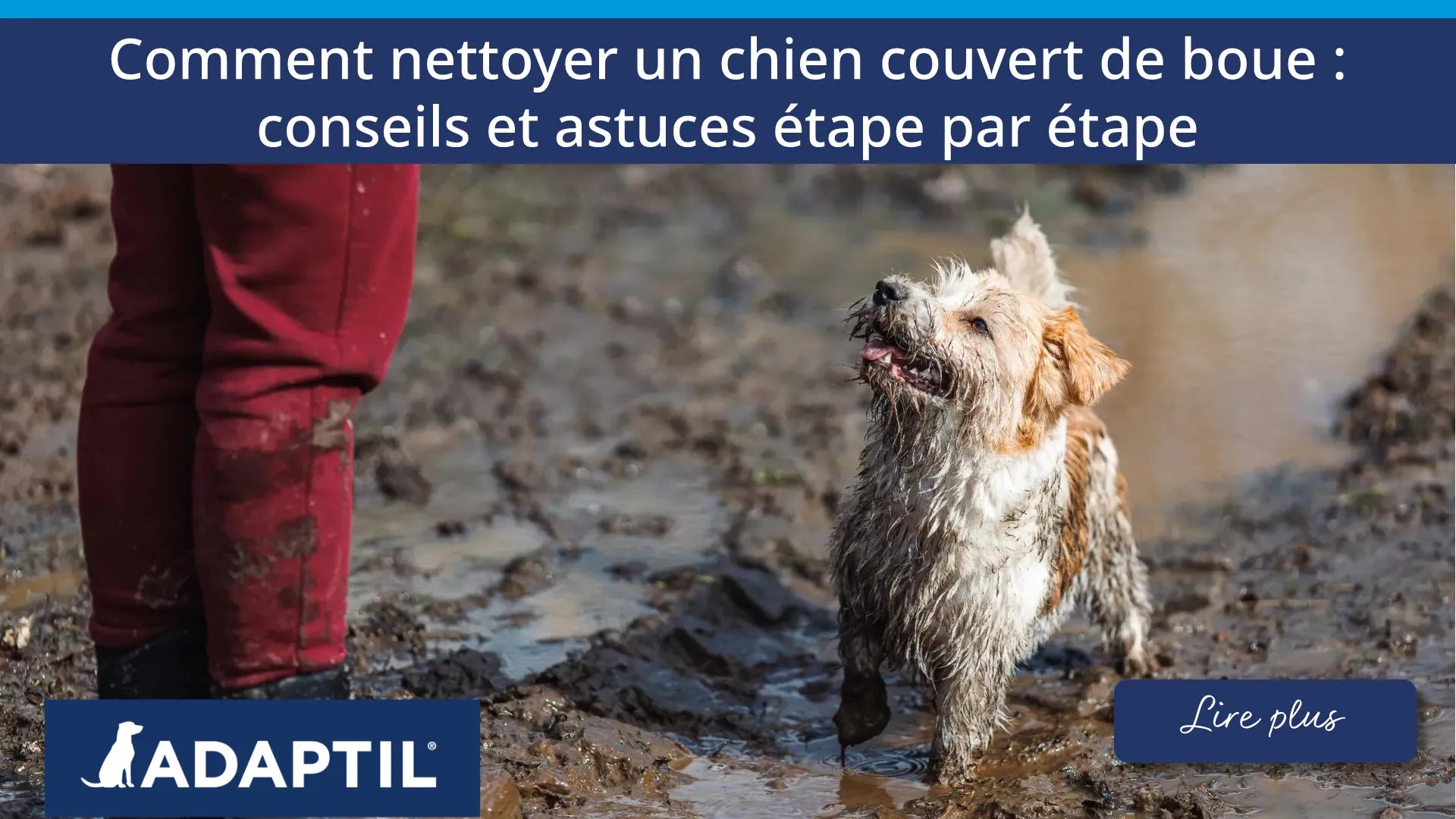 Un terrier debout dans un champ boueux, levant les yeux vers son maître dont le pantalon est éclaboussé de boue. 