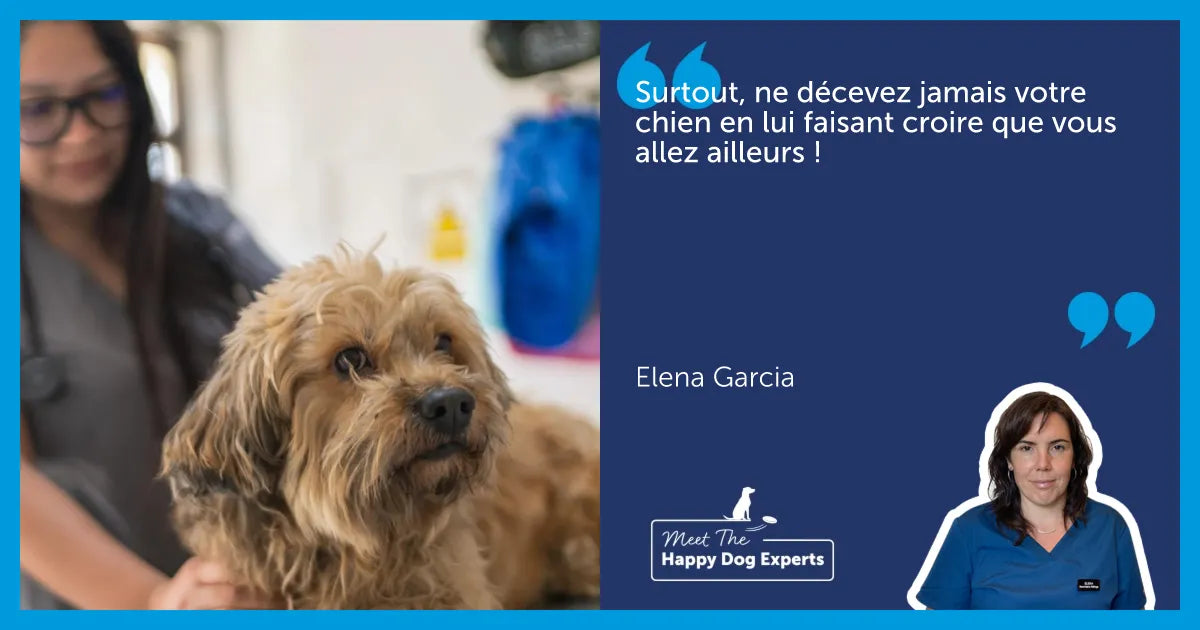 Avis d'expert : comment préparer votre chien à voir le vétérinaire