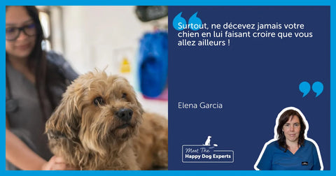 Avis d'expert : comment préparer votre chien à voir le vétérinaire