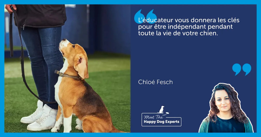 Tous les chiens ont-ils besoin d’un éducateur professionnel ?