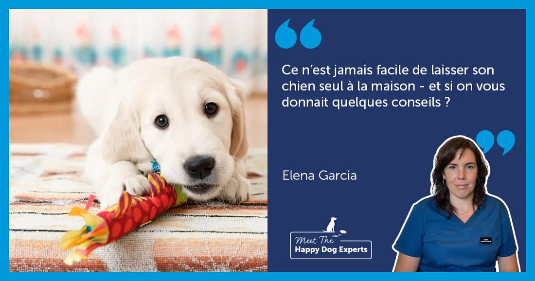 Comment apprendre à mon chien à rester seul à la maison