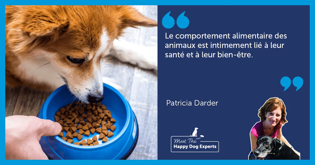Quand faut-il s'inquiéter du comportement alimentaire de son chien ?