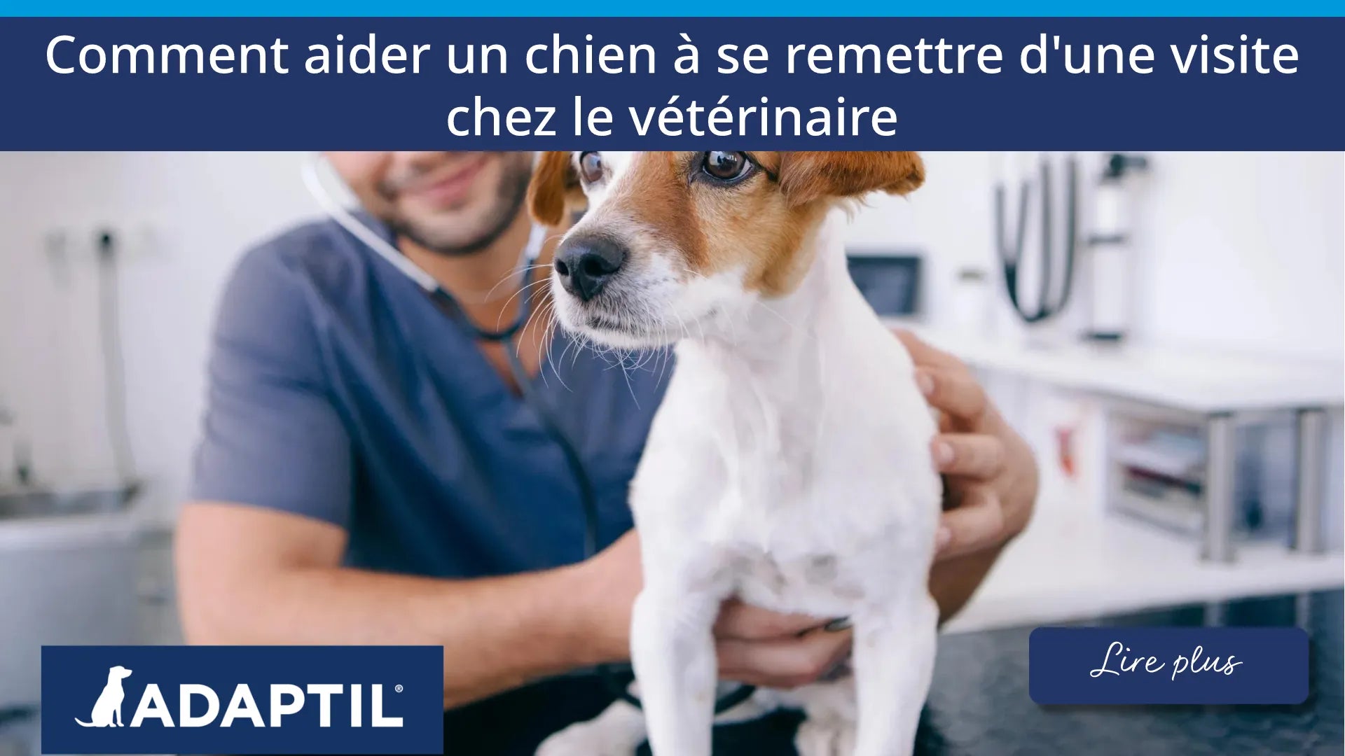 Un vétérinaire souriant tenant délicatement un chien dans une clinique vétérinaire.