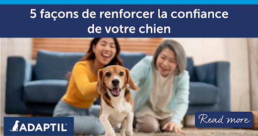 Deux femmes agenouillées derrière un chien joyeux qui court vers la caméra, l’air très heureux.