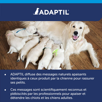 Diffuseur ADAPTIL Calm