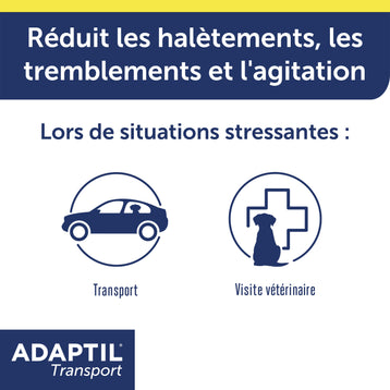 ADAPTIL Transport