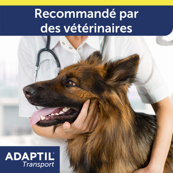 ADAPTIL Transport
