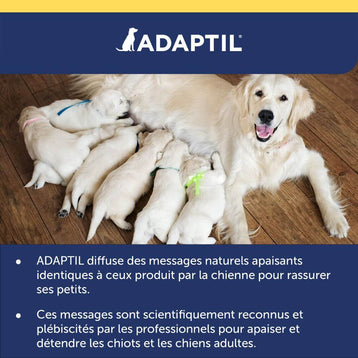 ADAPTIL Transport