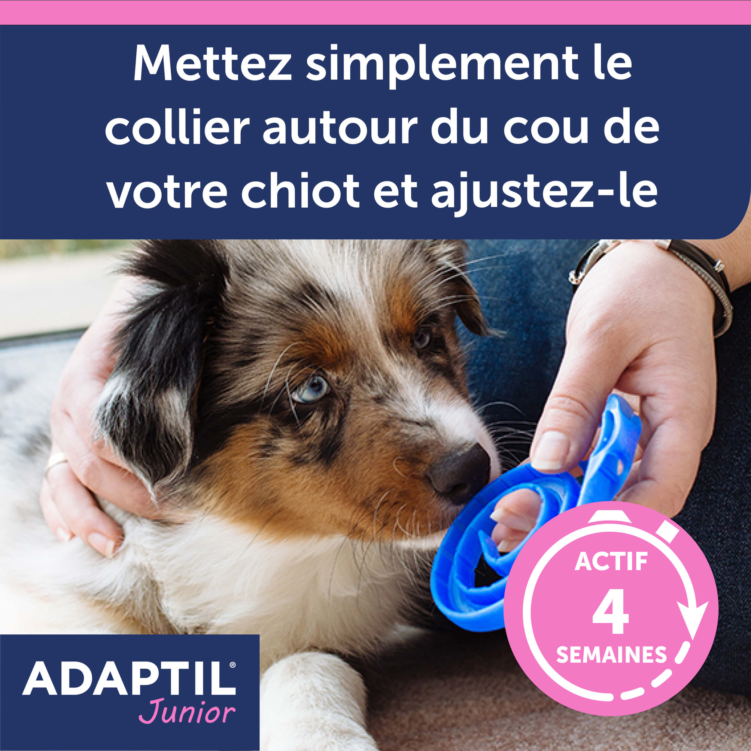 Collier ADAPTIL Junior