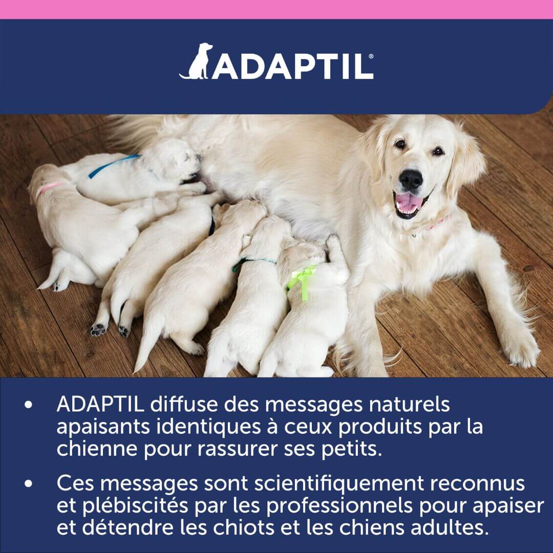 Collier ADAPTIL Junior