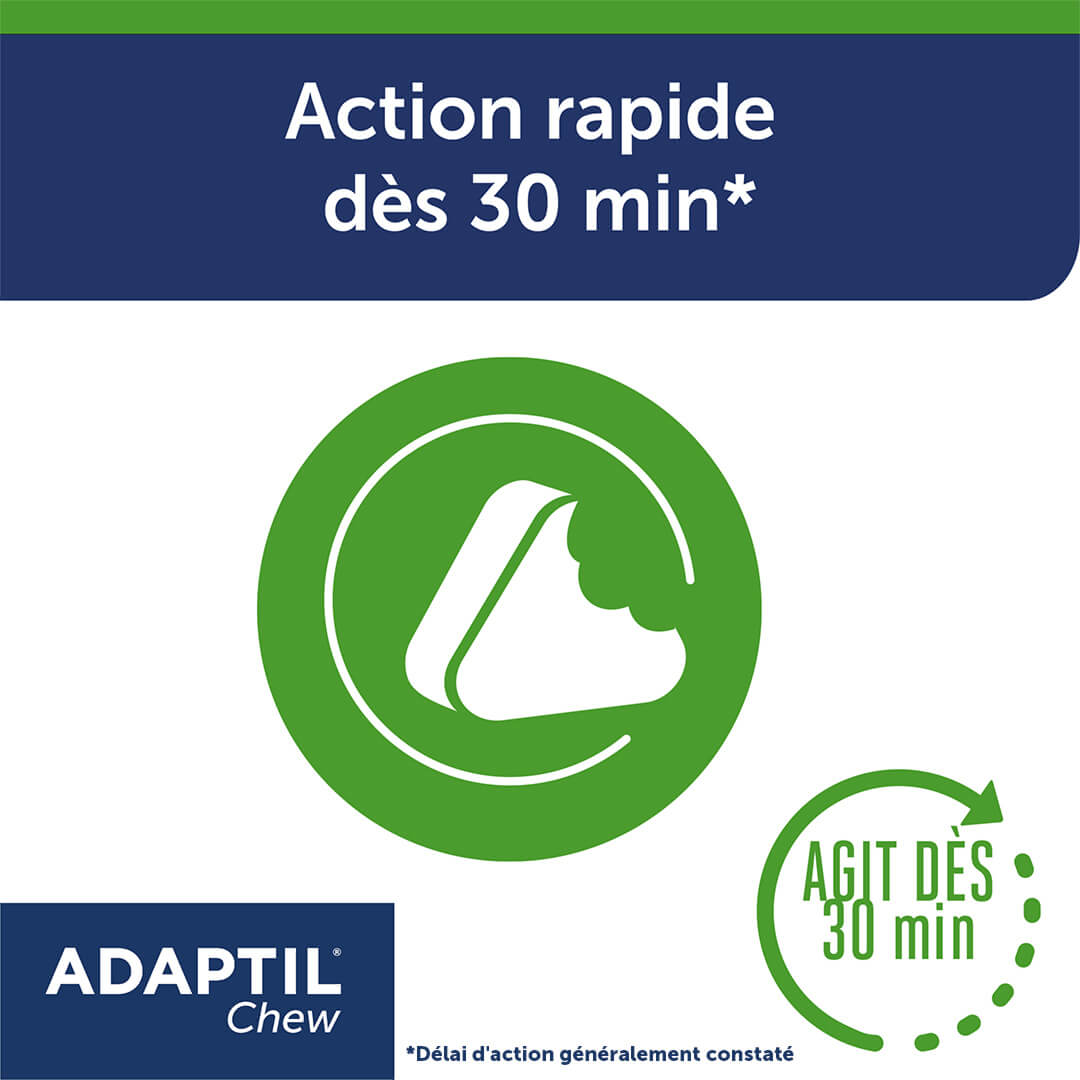 Bouchées anti-stress pour chiens ADAPTIL Chew