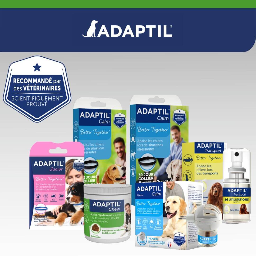 Bouchées anti-stress pour chiens ADAPTIL Chew