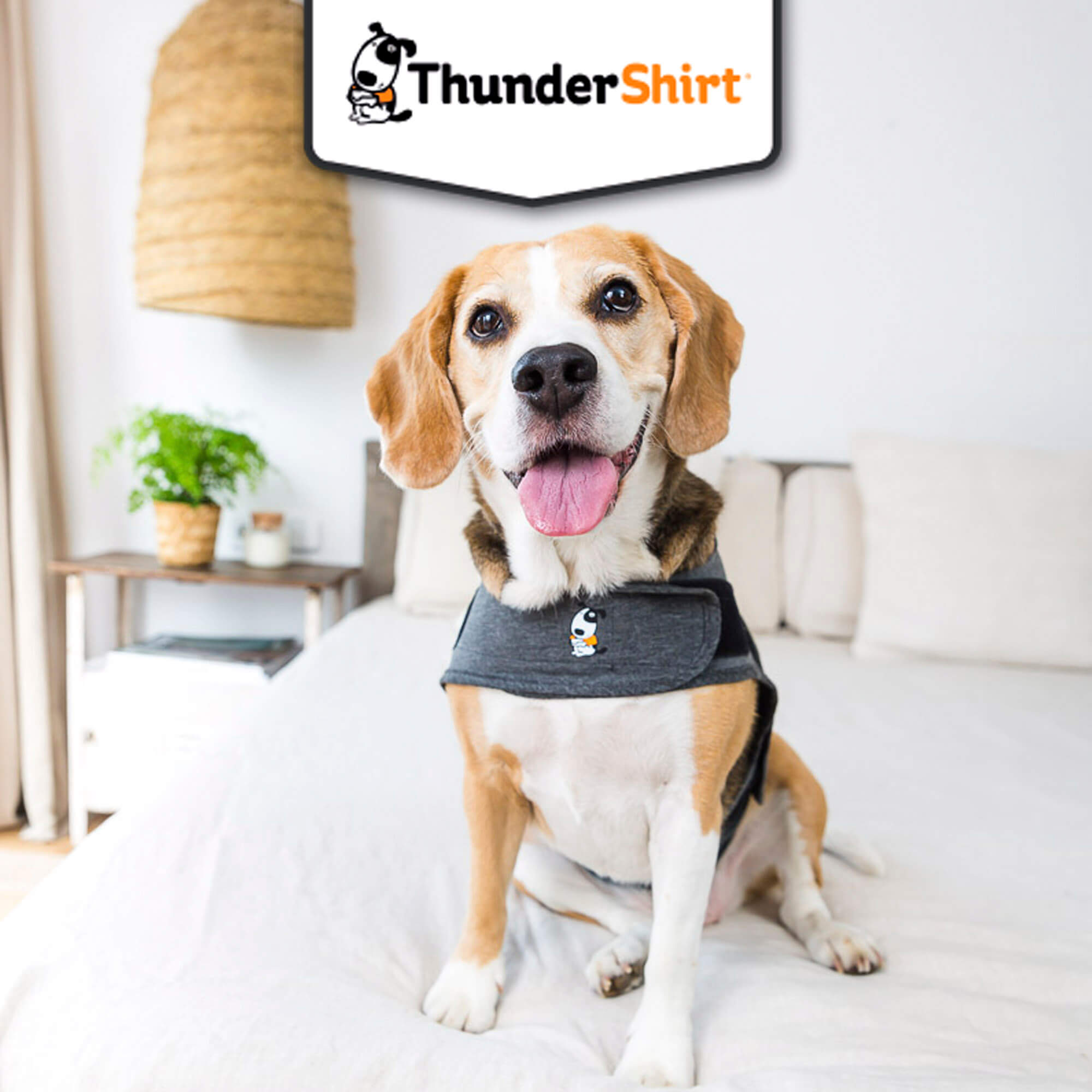 Gilet relaxant ThunderShirt