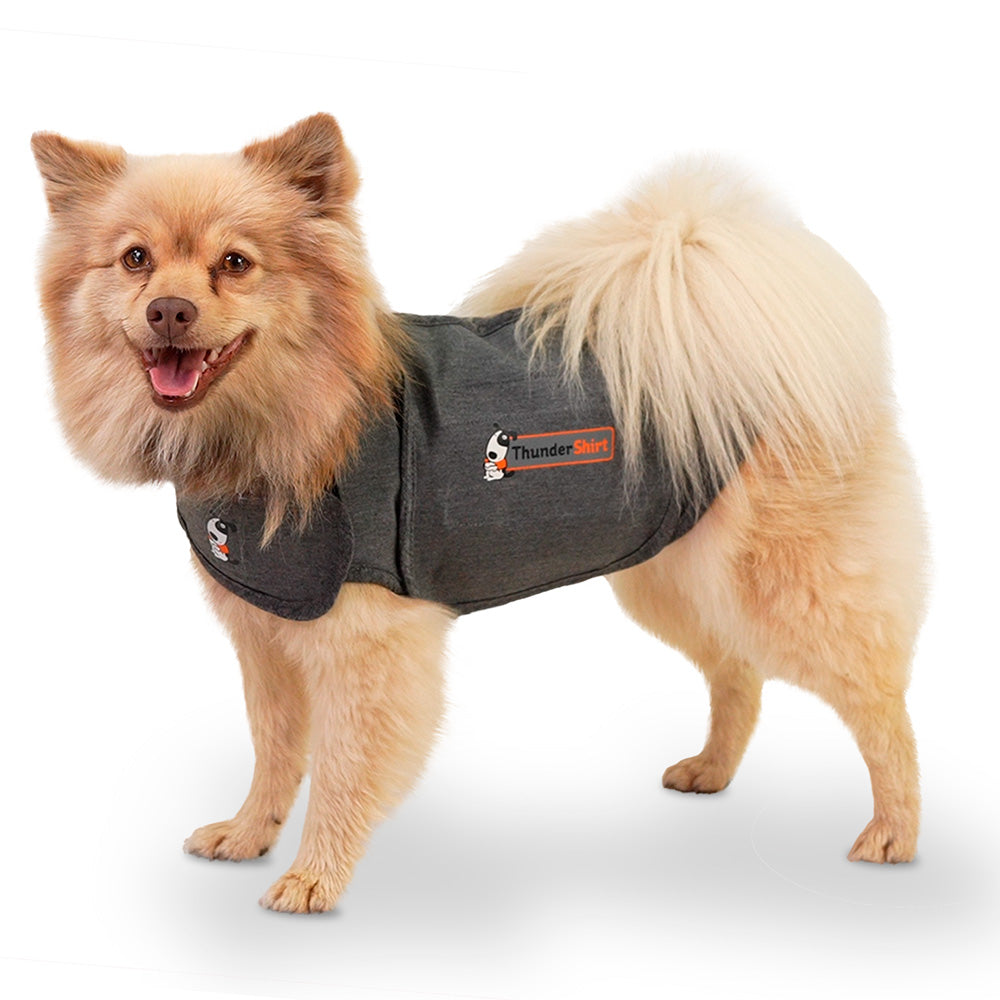 ThunderShirt