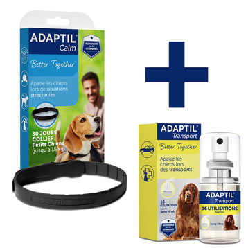 Routine Relaxation Transport - Petits chiens