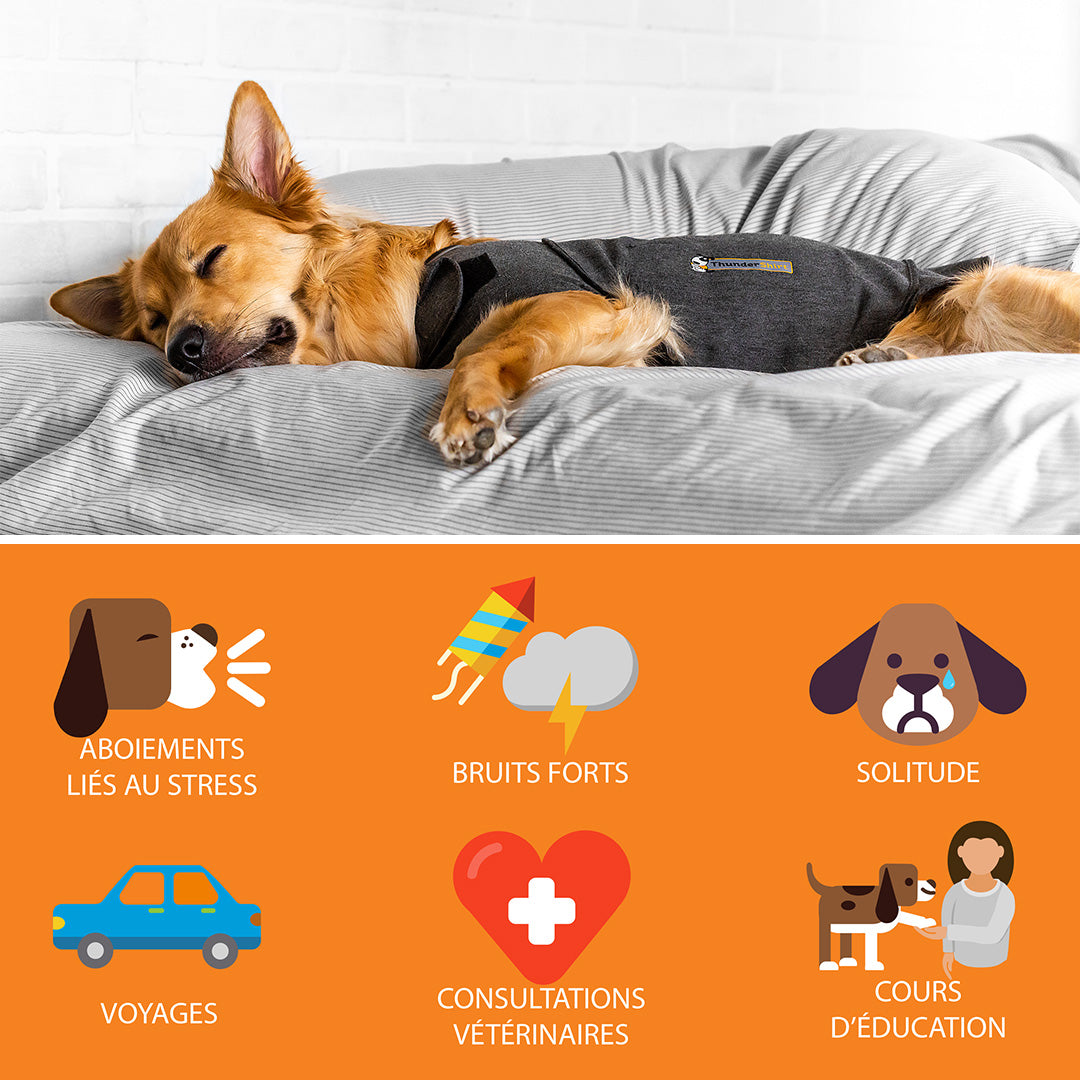 Gilet relaxant ThunderShirt