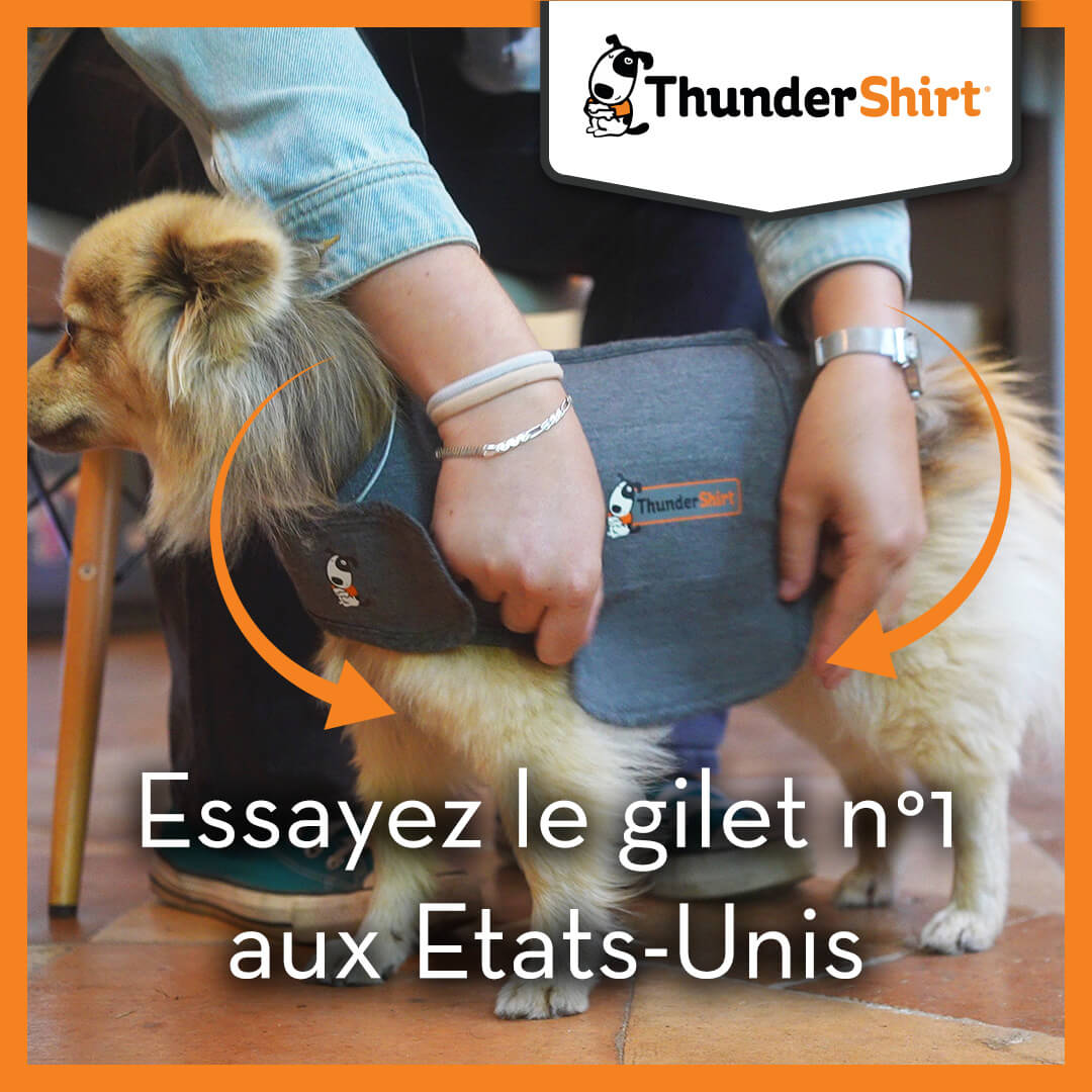 Gilet relaxant ThunderShirt