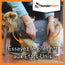 Gilet relaxant ThunderShirt