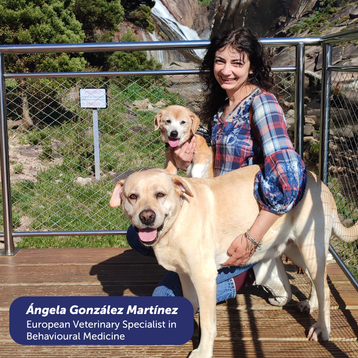 Dog Body Language Course - Decoder Level
