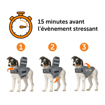 Gilet relaxant ThunderShirt