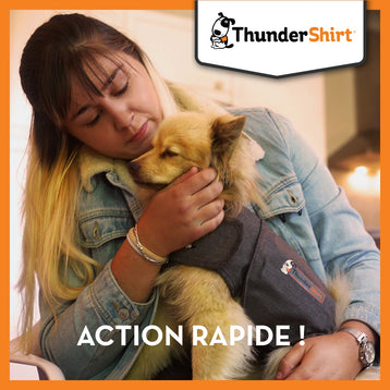 Gilet relaxant ThunderShirt