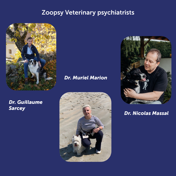 Dog Body Language Course - Decoder Level