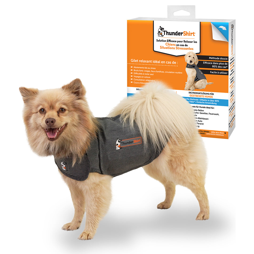 Quelle race de chien compatible avec les chats ? – ADAPTIL & THUNDERSHIRT